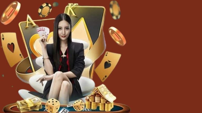theo dõi và cập nhật dữ liệu mới